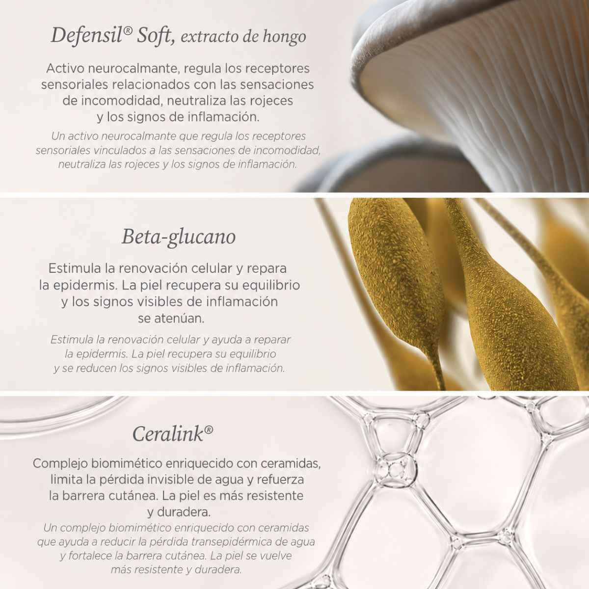 Sérum Facial Calmante Antirojeces MÊME Cosmetics